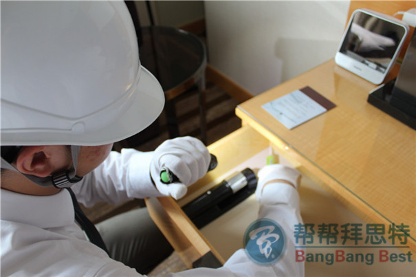 滅蟑公司教你最有效的防治德國(guó)小蠊的方法