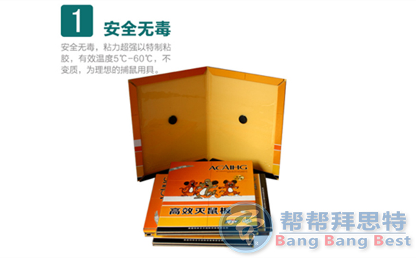 滅鼠公司總結(jié)家庭最好最新的滅鼠方法