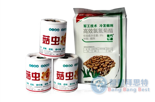 滅鼠公司總結(jié)家庭最好最新的滅鼠方法