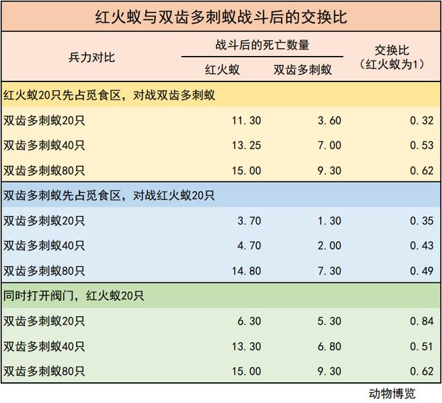 無敵的紅火蟻誰能阻擋？這種黑螞蟻或有希望