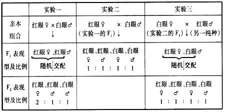 果蠅與科學丨為遺傳學做出巨大貢獻的果蠅，如此優(yōu)秀怎么消滅