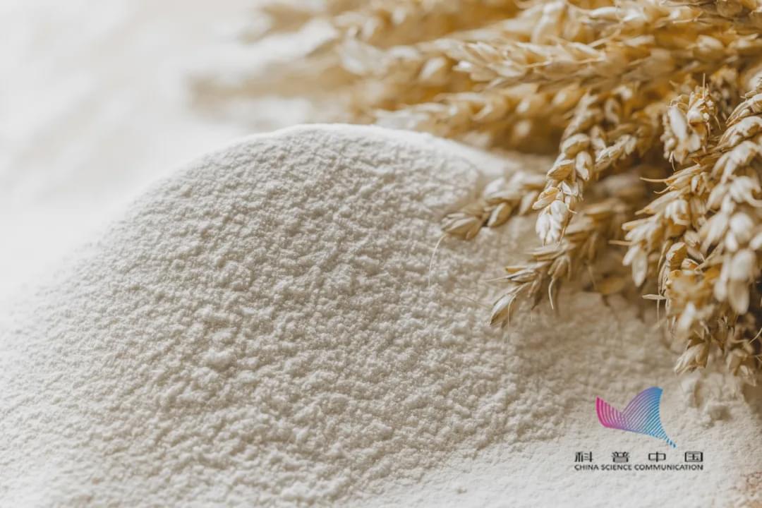 家里的米面為啥憑空出現(xiàn)小蟲(chóng)？