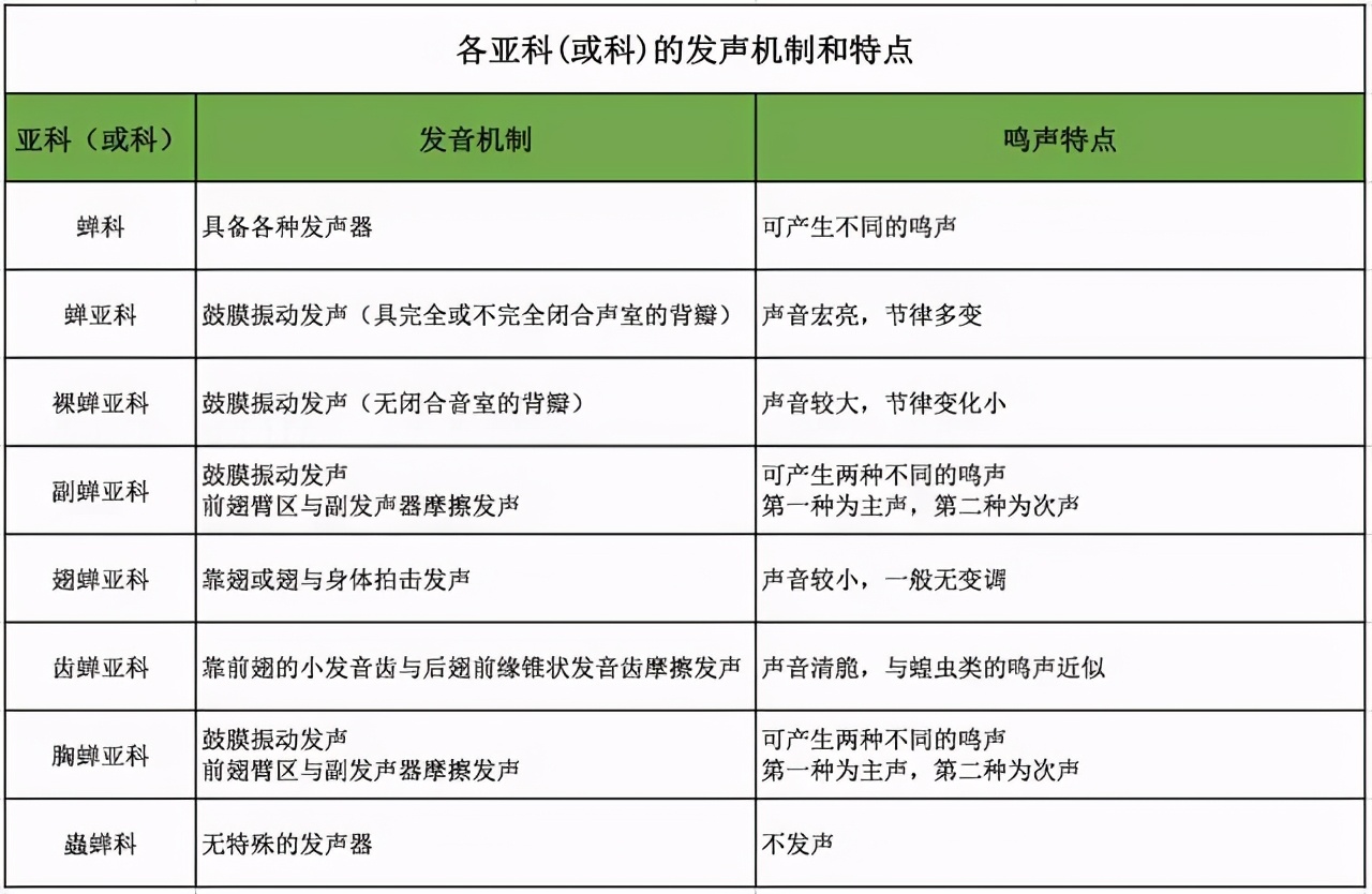 為什么天越熱，蟬叫得越厲害？原來是這個原因