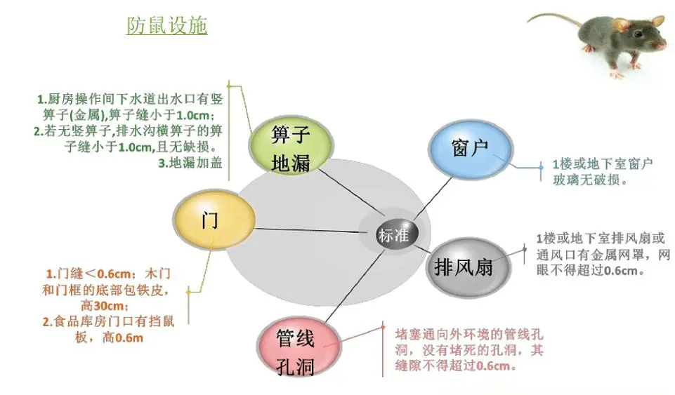 超市型鼠防治工作，你知道嗎？