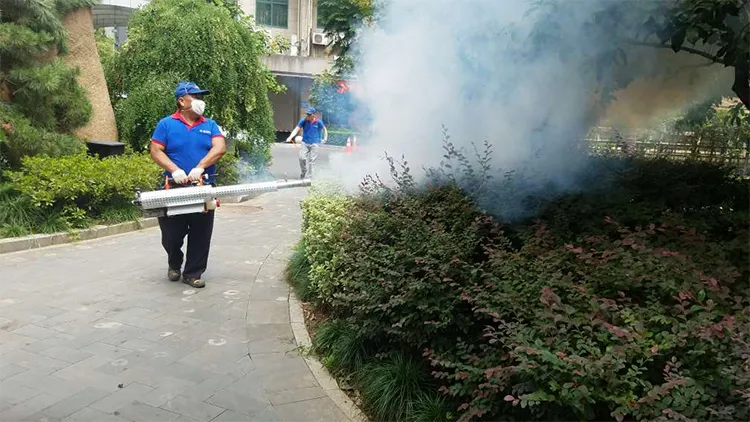 這些常見家庭蟲害，怎么處理？