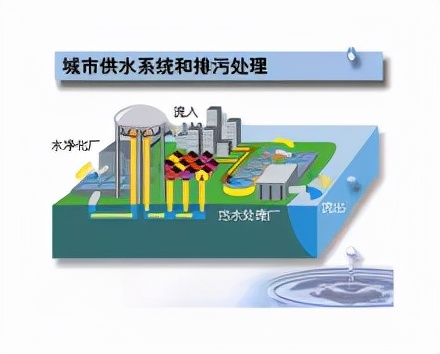 暴雨過(guò)后，蟲媒傳染病易流行？如何防控？